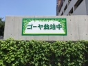 横浜市環境創造局　壁面看板　画像